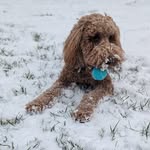 Mary Lumsden - @lumsden.mj - Instagram