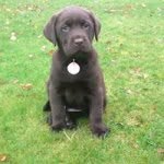 Mary Lumsden - @marylumsden15 - Instagram