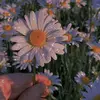 ♡🌷Happy._.Girl🌻 - @mary_luz.1511 - TikTok
