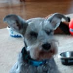 Mary Lyall - @lyall2679 - Instagram