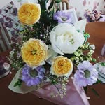 Mary Lydon - @alydon111 - Instagram