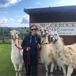 Mary Lydon - @marylydon6062 - Instagram