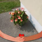 Mary Lydon - Facebook