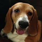 David Mary Lytle - @davidmarylytle - Instagram