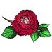 Mary Mabee - Facebook