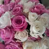 urupdates🌸SAHM🩷🩷 - @mary_mac28 - TikTok