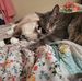 Mary Maciejewski - Facebook