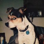 Kathy Mary Macke - Facebook