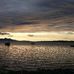 Mairi Nic A Mhaighstir - Facebook