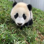 Mary MacPhail - @macphailmary - Instagram