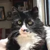 marymacvicar552 - @marymacvicar552 - TikTok