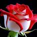 Mary Manar - Facebook
