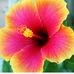 Mary Manar - Facebook