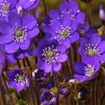 Mary Mangold - @mangold.mary - Instagram