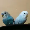 free day - @mary.mankeley.day - TikTok