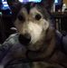 Mary Mann - Facebook