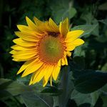 Mary Mann Ellsworth - @marymannellsworth - Instagram