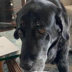 Mary Spiegle Mann - @marymann426 - Instagram