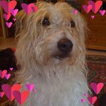 Mary Lynn Manton - @marylynnmanton - Instagram