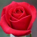 Mary Manwaring - Facebook