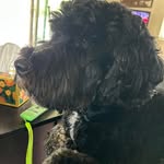 Mary Manzer - @marymanzer1018 - Instagram
