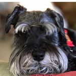 Mary Mapes - @romrmapes - Instagram