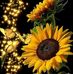 Mary Maqueda - Facebook