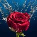 Mary Maqueda - Facebook