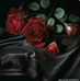 Mary Marcel - Facebook
