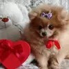 amarettka_mary - @amarettka_mary - TikTok