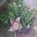 Mary Mariscal - Facebook