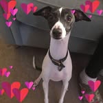 Mary Marks - @marymarks705 - Instagram