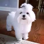 Mary Marlingo - @marymarlingo - Instagram
