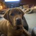 Mary Martelli-Hicks - Facebook