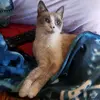 Mary Martines - @mary.15.78 - TikTok