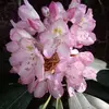 marymartines368 - @marymartines368 - TikTok