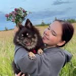 МАРИЯ ЗАХАРЧЕНКО | РЕПЕТИТОР МАТЕМАТИКА, ФИЗИКА | ЕГЭ, ОГЭ - @mary_math_ege - Instagram
