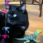 Mary Newbill Matney - @matney8498 - Instagram