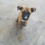 mary matson - @matson9910 - Instagram