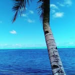 mary matson - @mary7620j - Instagram