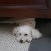 Mary Di Matteo - @mary.di.matteo - TikTok