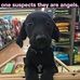 Mary Matteo - Facebook