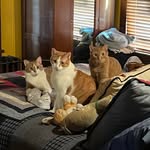 Mary Mattice Wills - @marywillsretired - Instagram