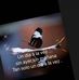 Mary Matzer - Facebook