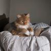 MARY S - @mary.shmaust - TikTok