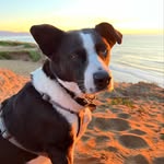 Mary Maxon - @bioeconomy2050 - Instagram