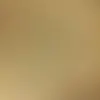 mary_maya - @thehomles - TikTok