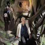 Mary Mayhew - @mayhew6377 - Instagram