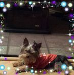 Mary McAdam - Facebook