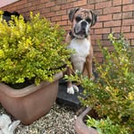 Mary McAdam - @mary.newimage - Instagram